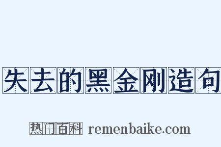 失去的黑金刚造句是什么意思的图片